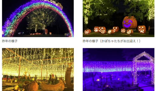 森林公園ハロウィンイルミネーション2017-2018 営業時間､料金､期間など。