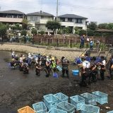 池の水全部抜く大作戦