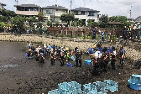 テレビ東京の池の水抜く大作戦。どこある会社?業者名は?加藤先生とは誰？