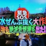 池の水全部抜く大作戦