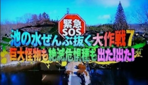 池の水ぜんぶ抜く・山口県萩城(2019)放送日やロケ収録はいつ?ゲストは誰?