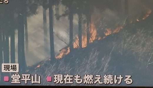 埼玉県ときがわ町の堂平山で山火事。画像と動画あり。火災の原因は?